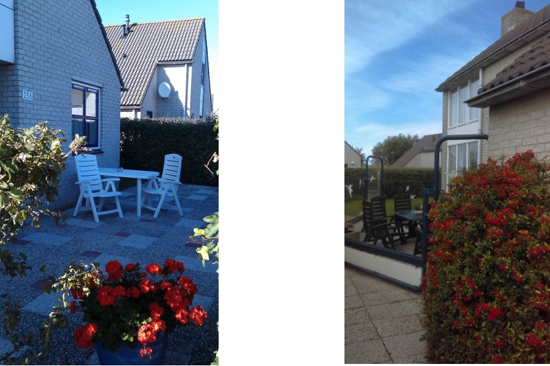 tuin-met-terras