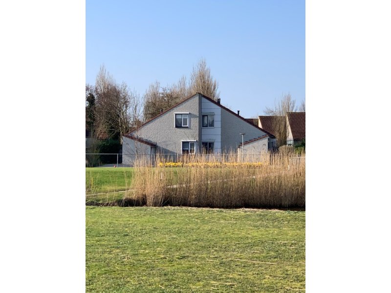 IMG_2355 (Custom) (2)