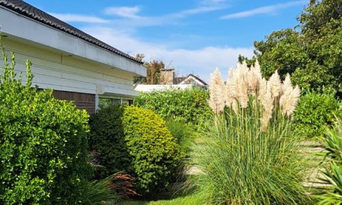 IMG-20250910-WA0025-1