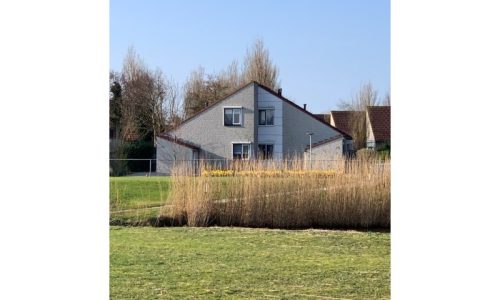 IMG_2355 (Custom) (2)