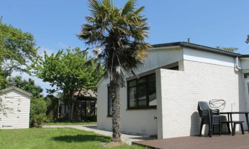 IMG_4749-scaled-800x533