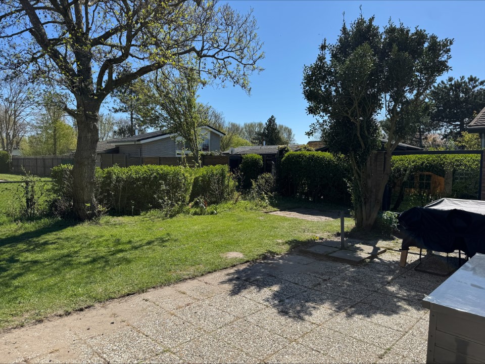Tuin