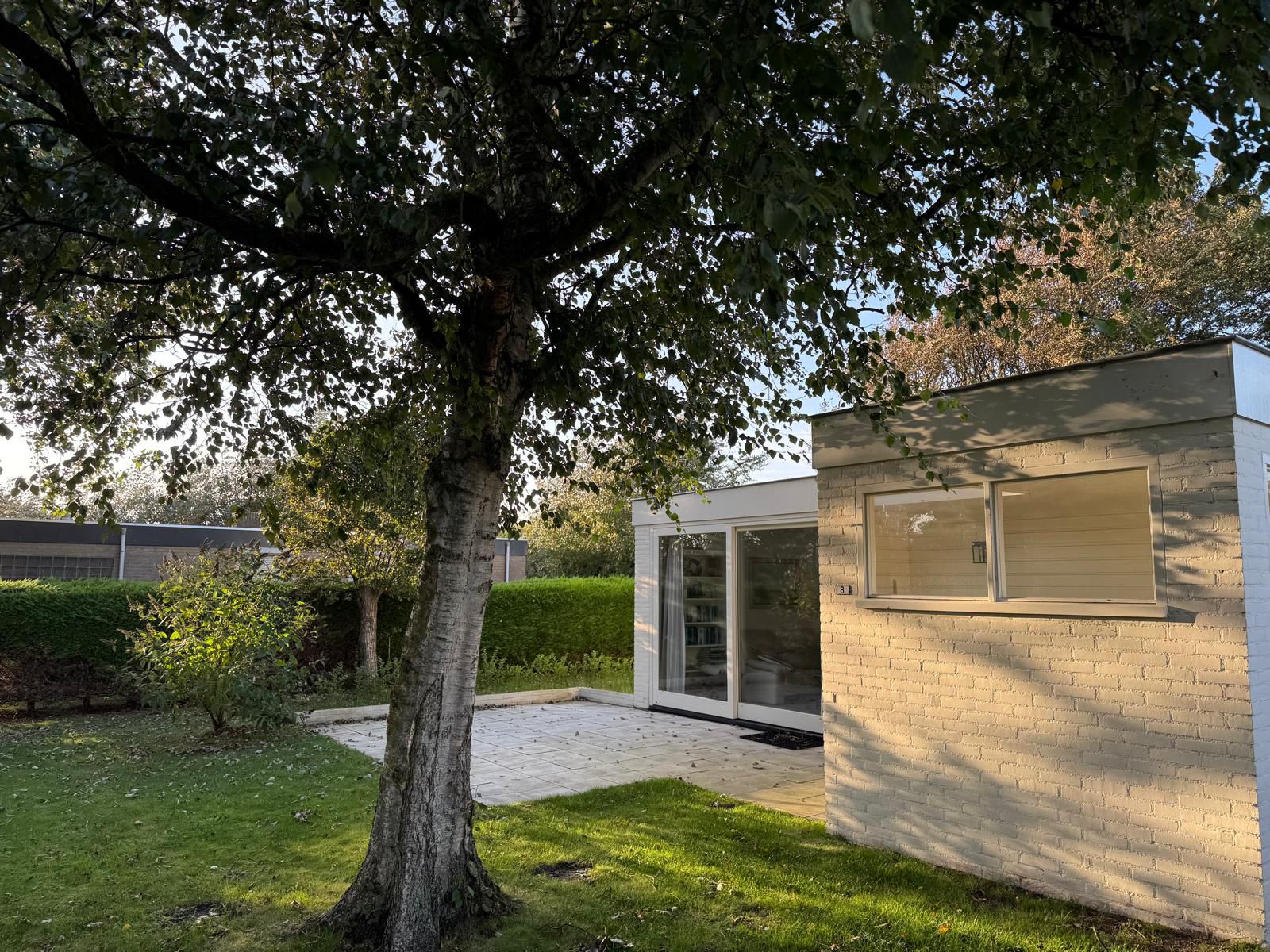 IMG-20260219-WA0004-1 (1)