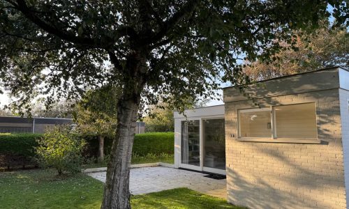 IMG-20260219-WA0004-1 (1)