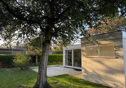 IMG-20260219-WA0004-1 (1)