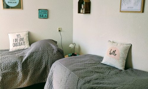 IMG_20190324_135408 (Custom)