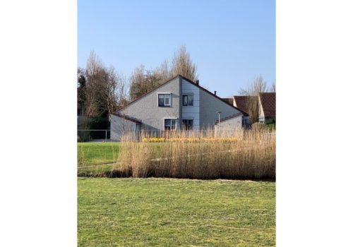 IMG_2355 (Custom) (2)