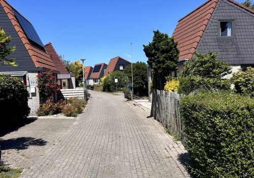 IMG_5753