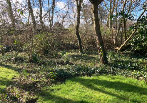 Tuin 4