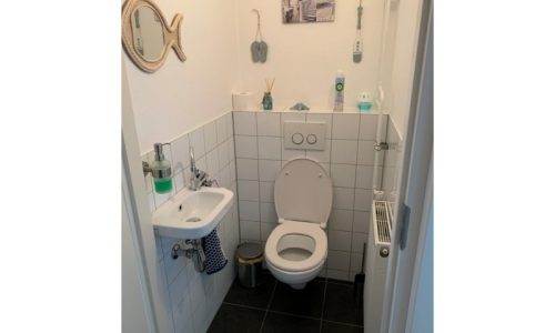 toilet (Custom)