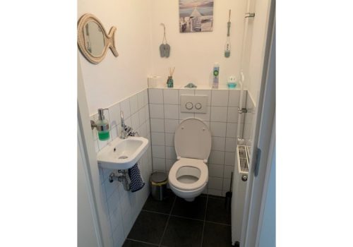 toilet (Custom)