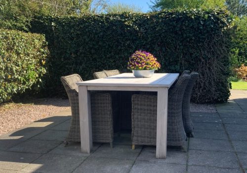 tuin achter 9 (Custom)